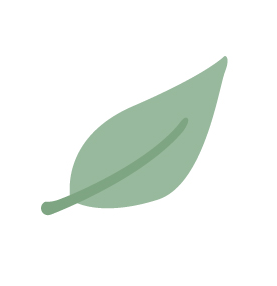 일산파사쥬드엘로이